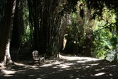 Enlarge photo 37