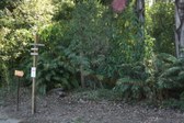 Enlarge photo 38