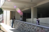 Enlarge photo 149