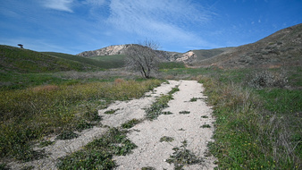 Enlarge photo 3