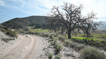 Enlarge photo 23