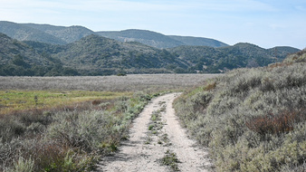 Enlarge photo 29