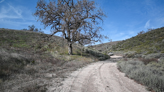 Enlarge photo 34