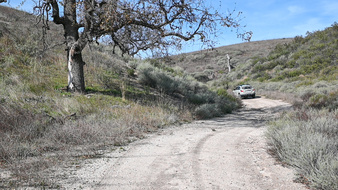 Enlarge photo 35