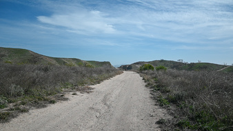 Enlarge photo 38