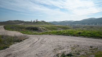 Enlarge photo 49