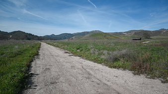 Enlarge photo 53