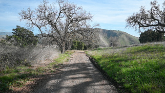 Enlarge photo 56