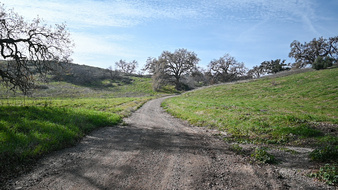 Enlarge photo 57