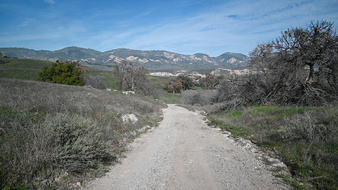 Enlarge photo 58