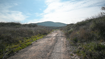 Enlarge photo 59