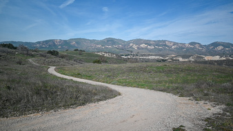 Enlarge photo 60