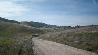 Enlarge photo 62
