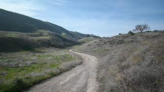Enlarge photo 63
