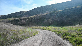 Enlarge photo 66