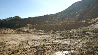 Enlarge photo 13
