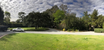 Enlarge photo 11