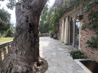 Enlarge photo 54