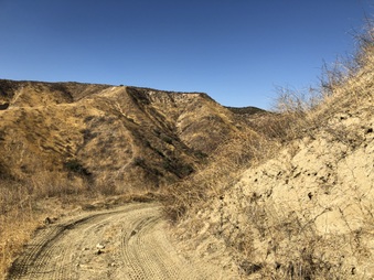 Enlarge photo 25
