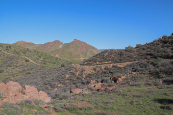 Enlarge photo 29