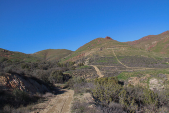 Enlarge photo 40