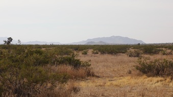 Enlarge photo 10