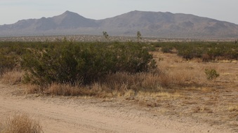 Enlarge photo 12