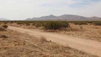 Enlarge photo 13