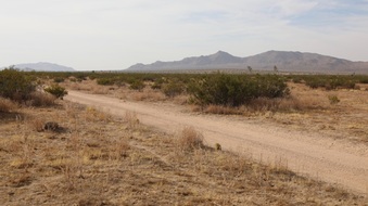 Enlarge photo 14