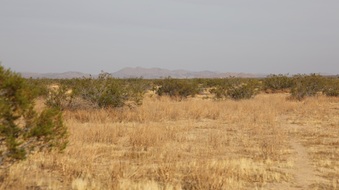 Enlarge photo 19