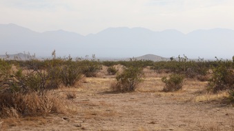 Enlarge photo 21