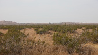 Enlarge photo 2