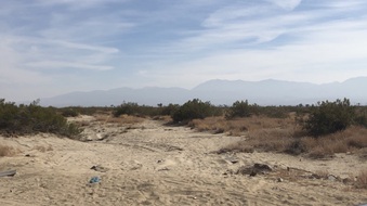 Enlarge photo 37