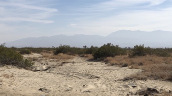 Enlarge photo 38