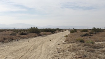 Enlarge photo 39