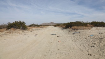Enlarge photo 41
