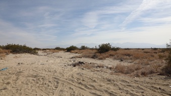 Enlarge photo 44