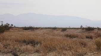 Enlarge photo 45