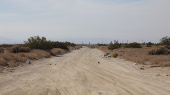 Enlarge photo 46