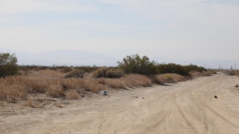 Enlarge photo 47
