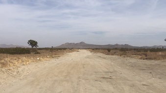 Enlarge photo 6