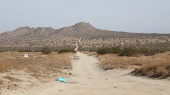 Enlarge photo 51