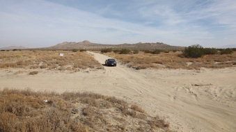Enlarge photo 59