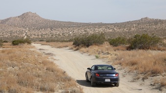 Enlarge photo 62
