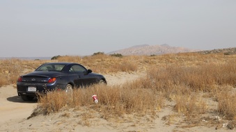 Enlarge photo 63