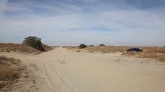 Enlarge photo 64