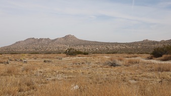 Enlarge photo 67