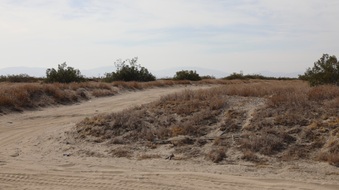 Enlarge photo 68