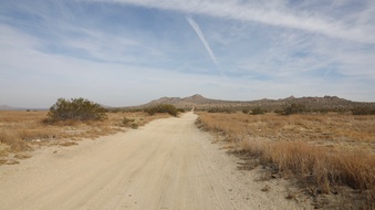 Enlarge photo 76