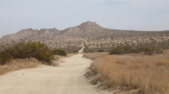 Enlarge photo 77